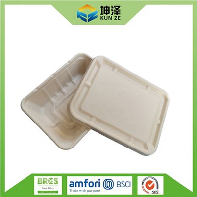 Sykurreyr Bagasse matarílát