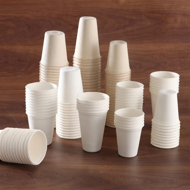 Sugarcane Bagasse Cup factory
